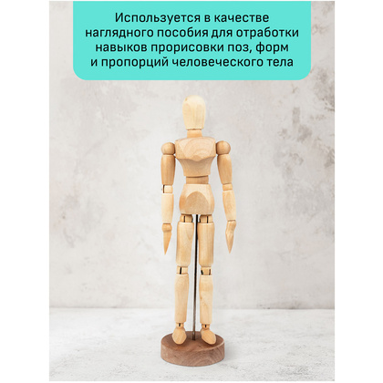 Манекен мужской "Студия", деревянный, 20 см - 3